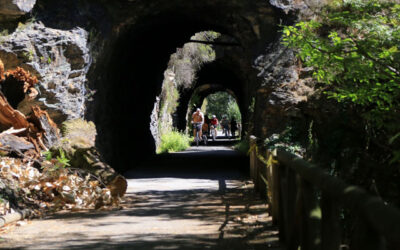 La Senda del Oso en Bici