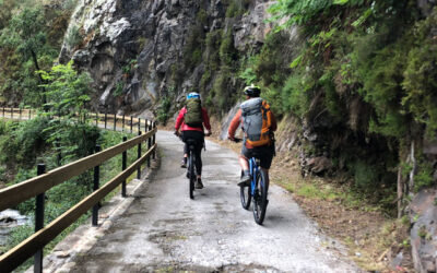 Los mejores planes para esta primavera en Asturias